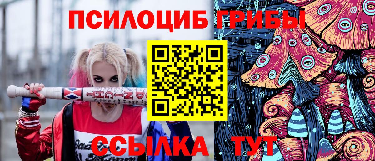 Кизляр  Галлюциногенные грибы Psilocybine cubensis  Вход с VPN  где можно купить наркотик  Псилоцибиновые грибы Psilocybe 