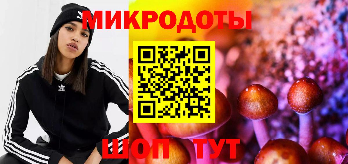 Галлюциногенные грибы Magic Shrooms Кизляр
